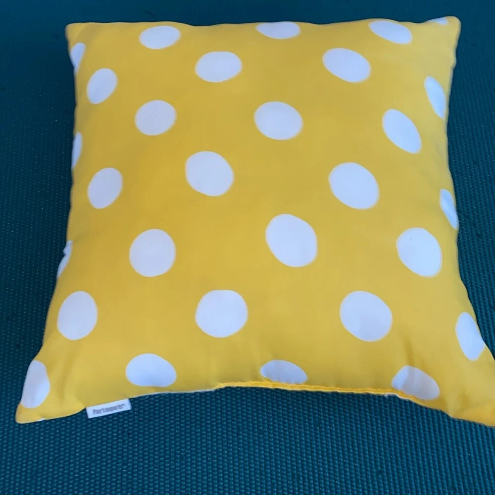 Pier 1 Imports Polka Dots Decorative Throw‎ Pillow 16